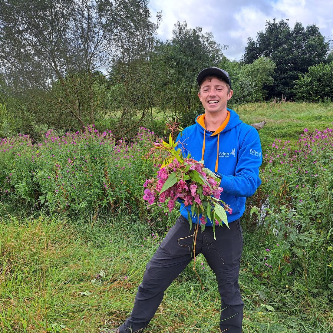 A man is stood in front of a stand of Himalayan balsam plants holding a collection of its pink flowers in the shape of a bouquet.