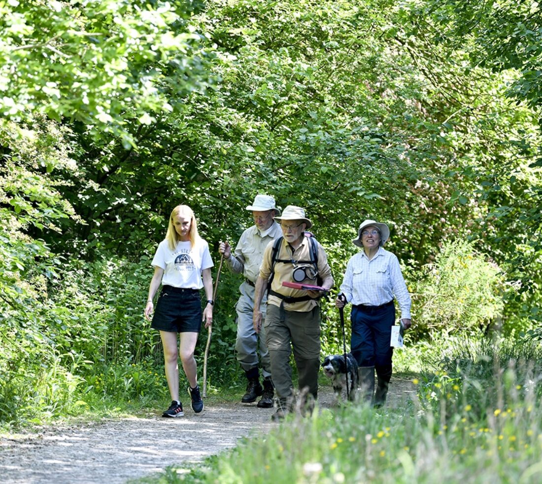 Testing a family-friendly hike with The Hiking Household