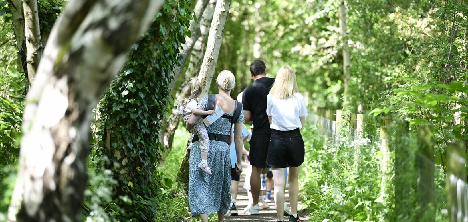Railway heritage walk with Carlisle Waverley Viaduct Trust