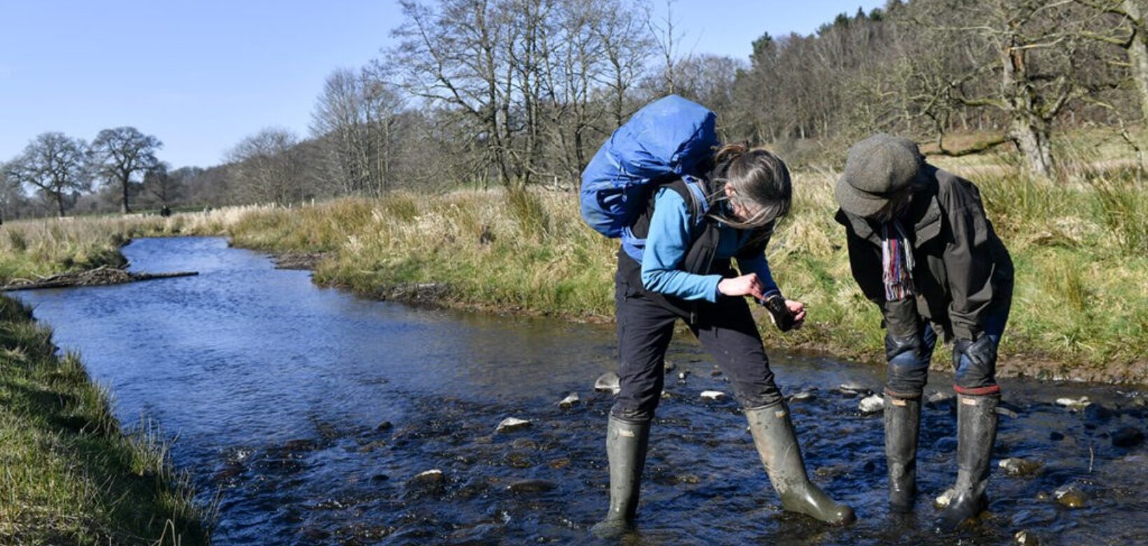 Two people in wellington boots and outdoor clothing are stood in a stream examining a sample of water and its aquatic specimens.