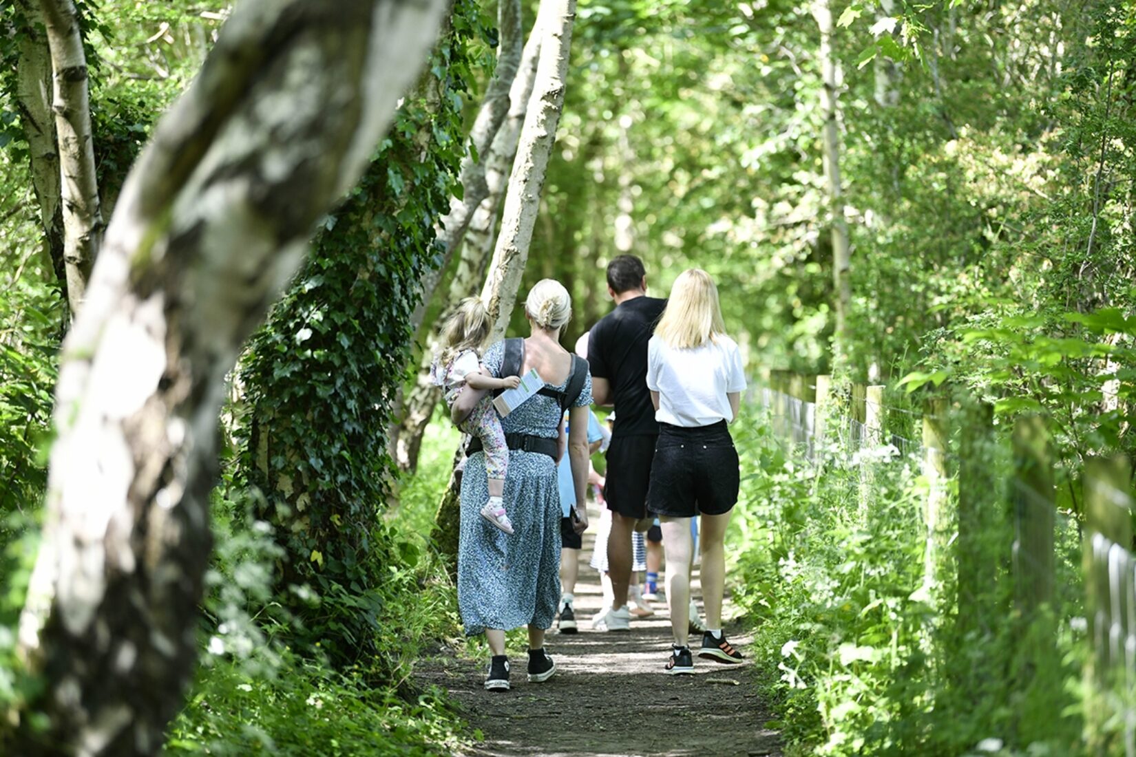 Railway heritage walk with Carlisle Waverley Viaduct Trust