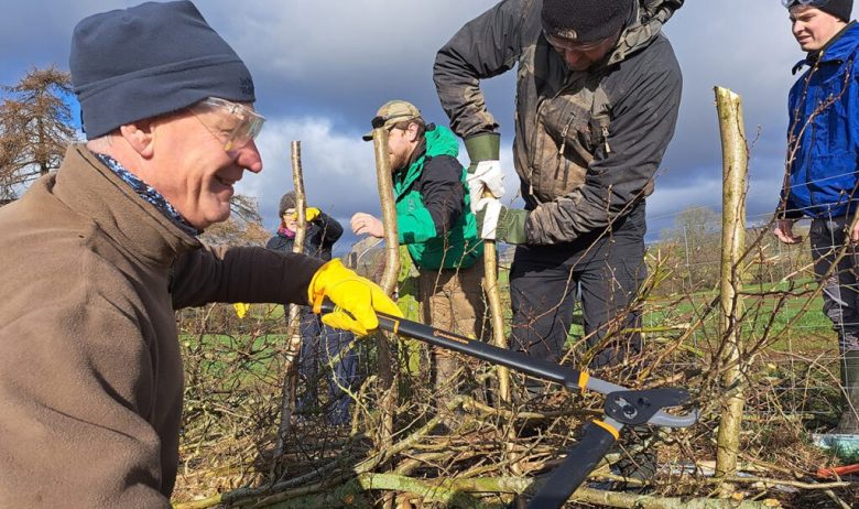 A man in safety glasses is cutting small branches off of trees bent over and intertwined to form a 'living hedge'. Other hedge layers and spectators pictured in the background.