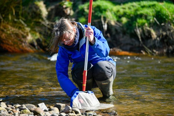 A woman holding a small fishing net is crouching in a shallow river to examine the contents of the net.