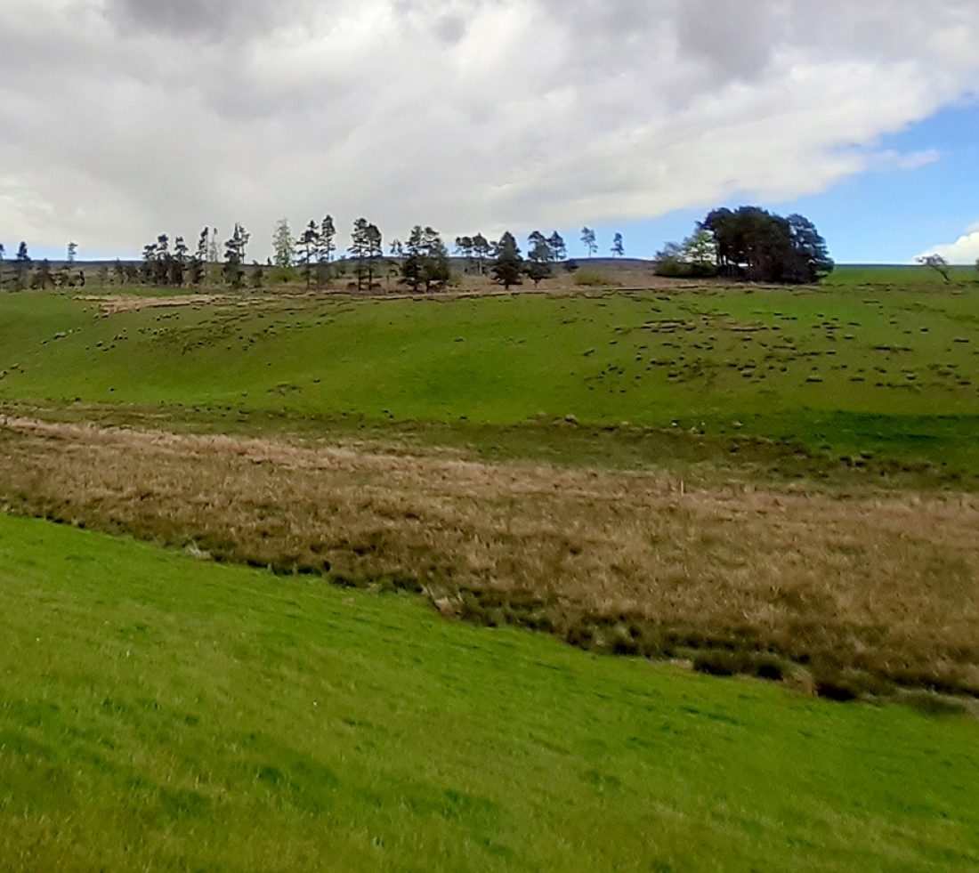 Looking along the base of sloped field bank across green paster with trees lining horizon at top of slope in the distance.