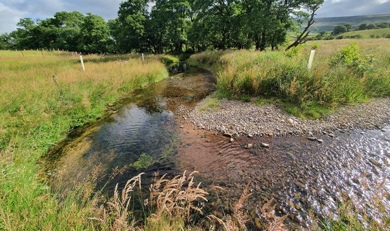 Ground level view of a meandering river channel.