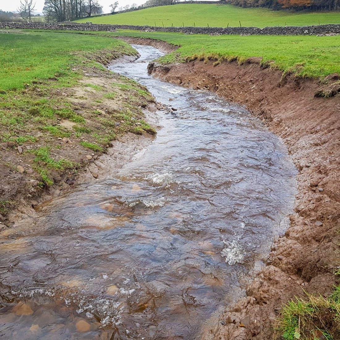 View of a new river channel at Bowber Head with extra 'wiggles' added to slow the flow of water.