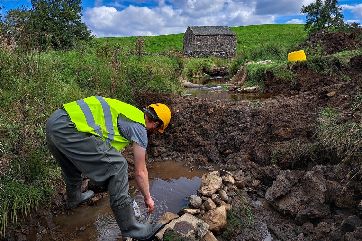 A volunteer in yellow helmet and high visibility jacket is in a small stream holding a fishing net to catch fish and move them into the newly excavated channel.