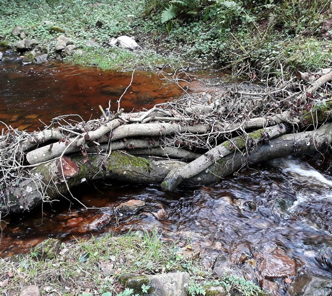 Low level view of a leaky dam illustrating its effectiveness at slowing water and dissipating its energy.