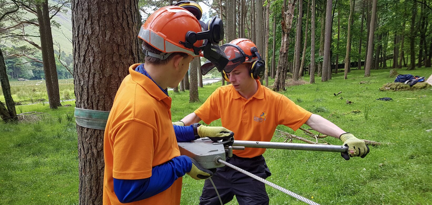 Two young men in orange polo shirts, wearing hard hats are winching a cable to tree, ready to fell it.