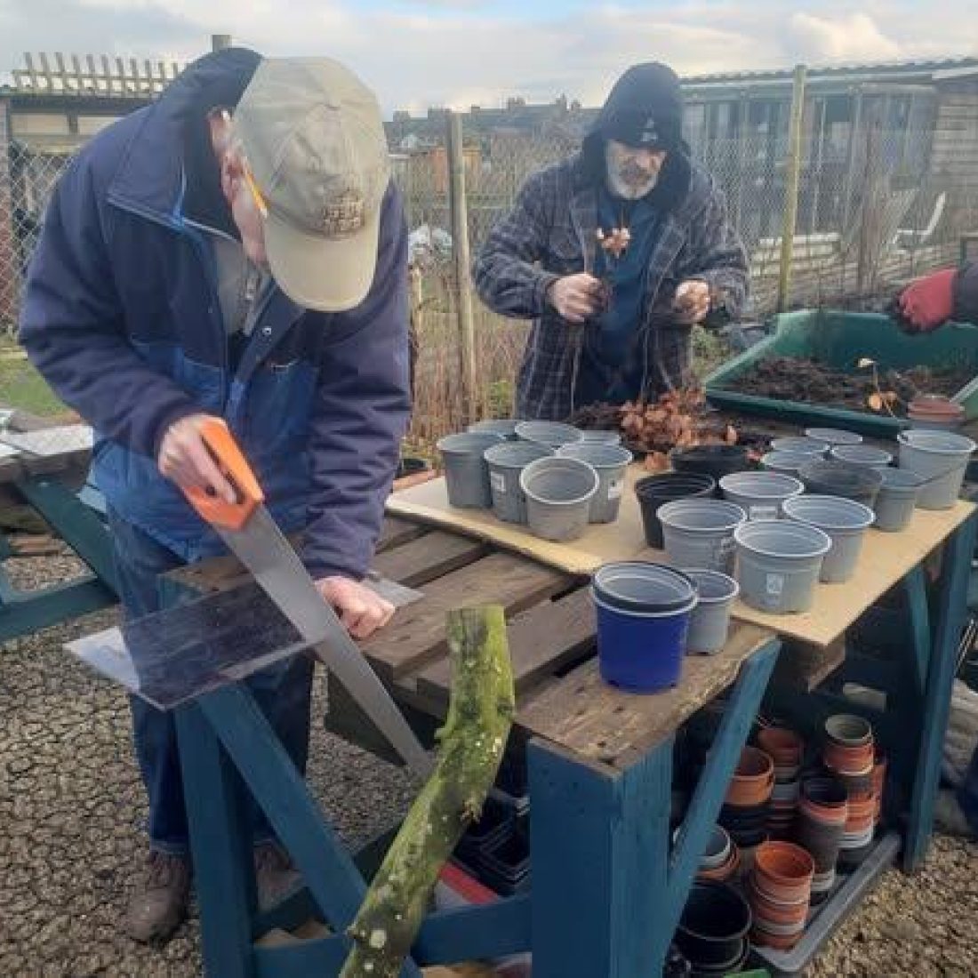 Three volunteers at the Penrith community tree nursery, planting saplings and sawing wood.