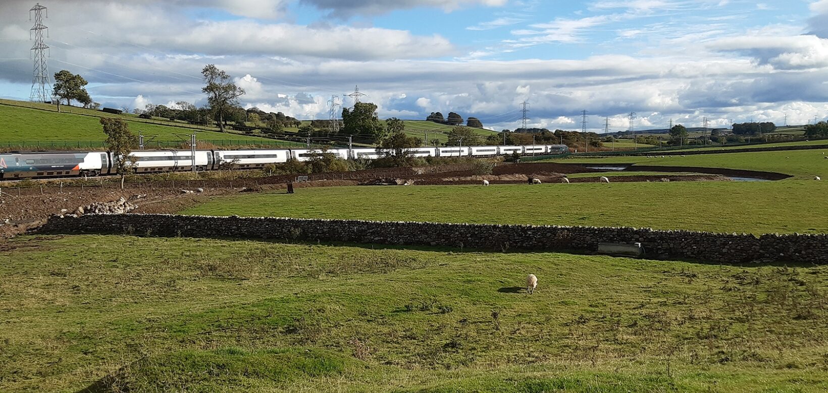 View across green field with grazing sheep and drystone wall to passing train on railway line.