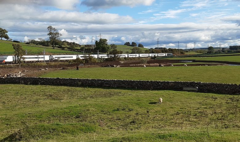 View across green field with grazing sheep and drystone wall to passing train on railway line.