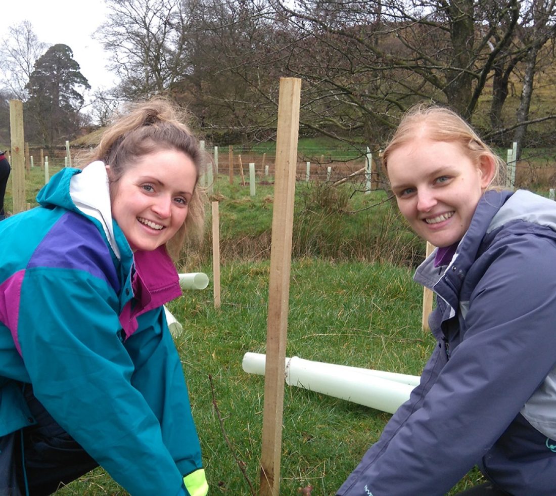 Two volunteers tree planting with wooden stake in ground and plastic tree tubes nearby.