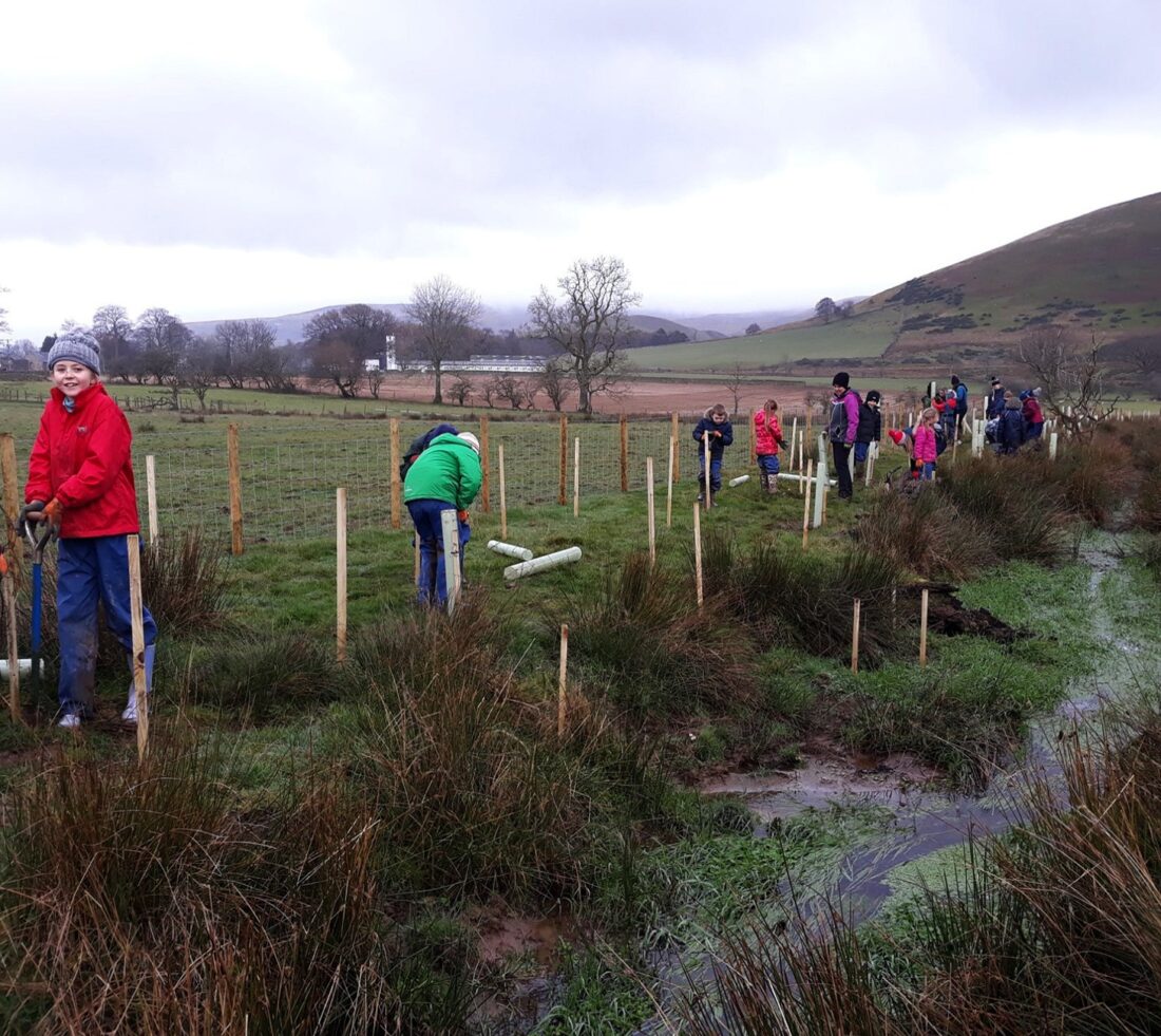 A large group of young people in winter coats and hats spaced out along the link of a small beck each planting saplings with stakes and tree guards along the length of the watercourse.