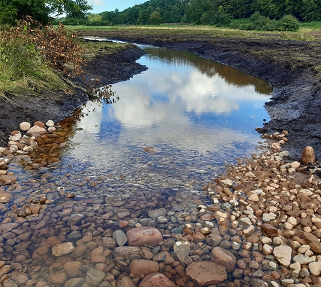 View of a newly excavated river channel with riffle feature.