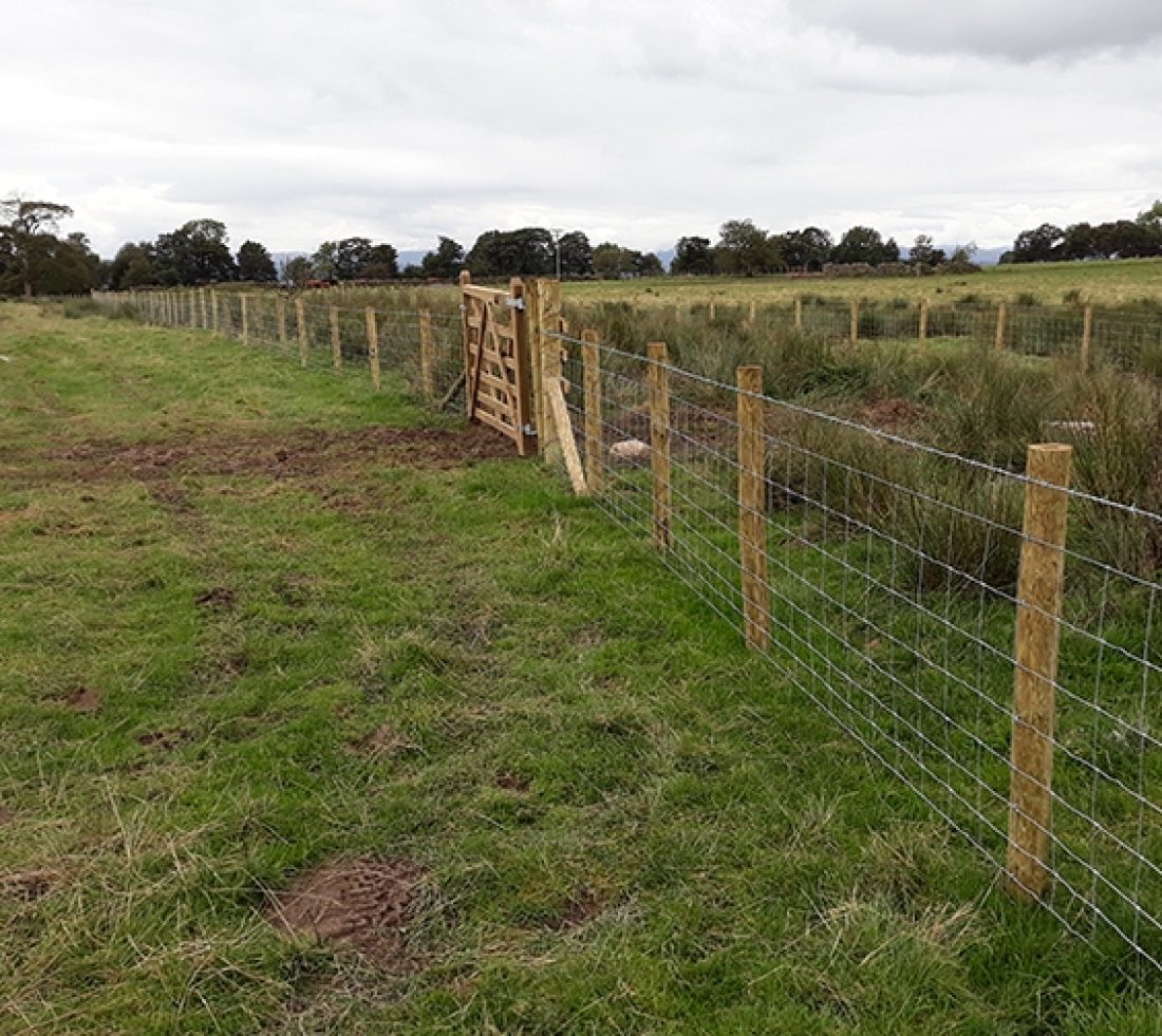 View along the line of a wooden fence with gate spanning a grass field.