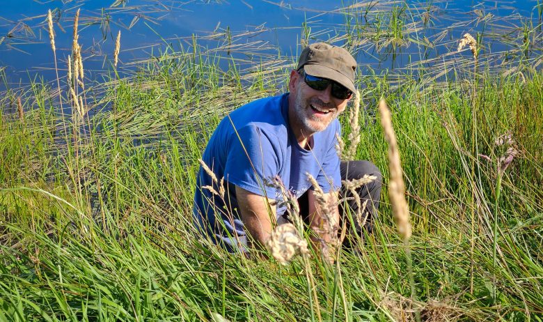 Volunteer crouching in tall grass next to stream.