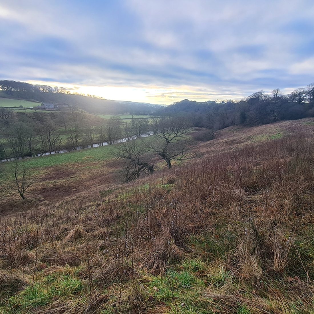 Looking across scrub covered sloping bank to green fields beyond.