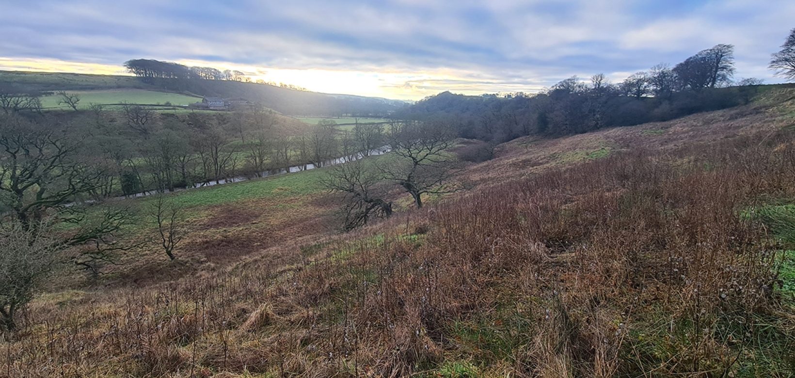 Looking across scrub covered sloping bank to green fields beyond.