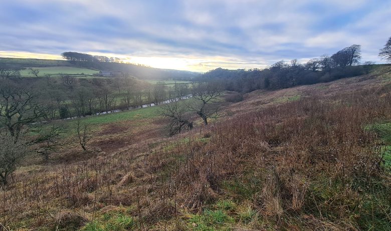 Looking across scrub covered sloping bank to green fields beyond.