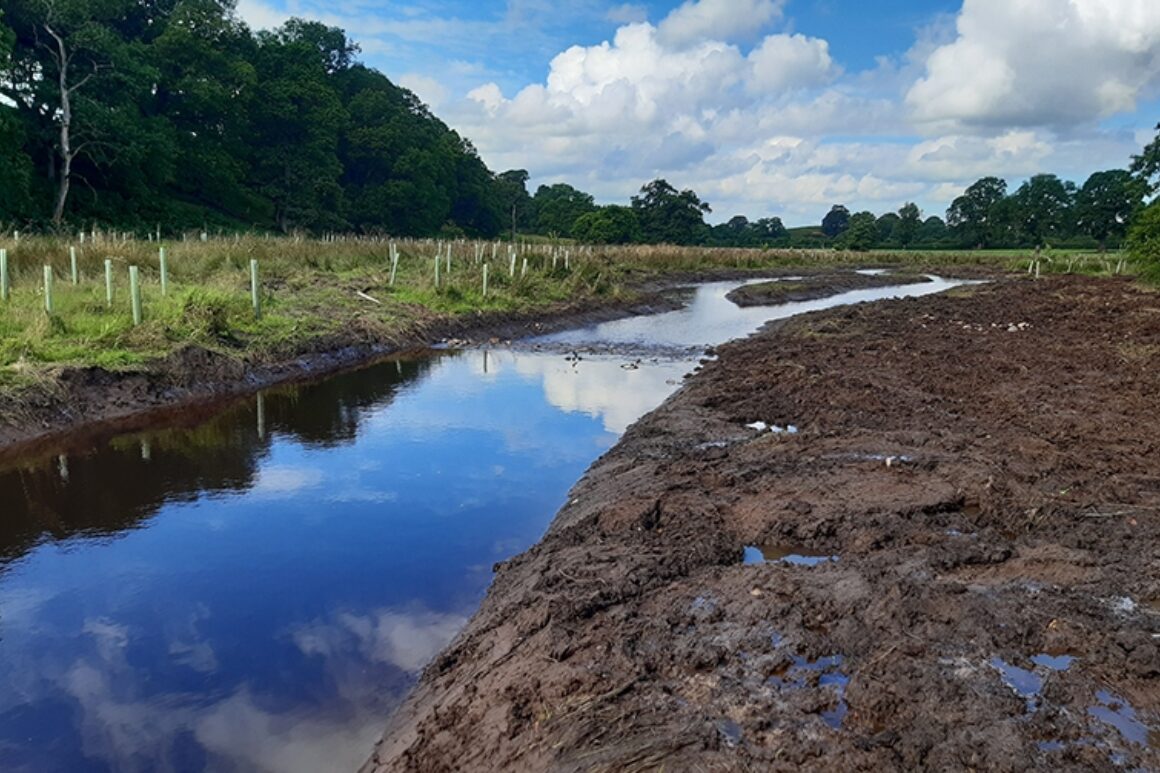 A view from muddy bank of a river channel with tree saplings and tree guards in field on opposite bank.