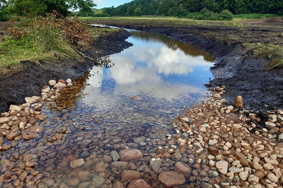 A view of a river channel with riffle feature.