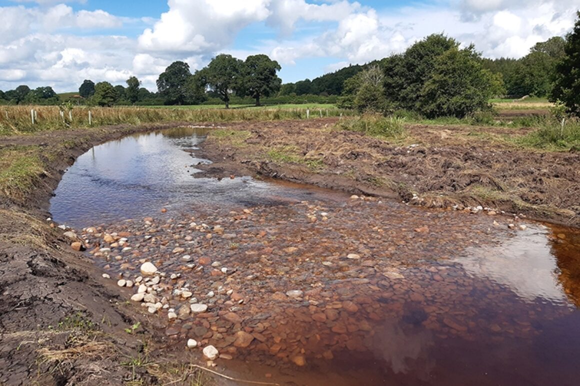 A view of a river channel with riffle feature.