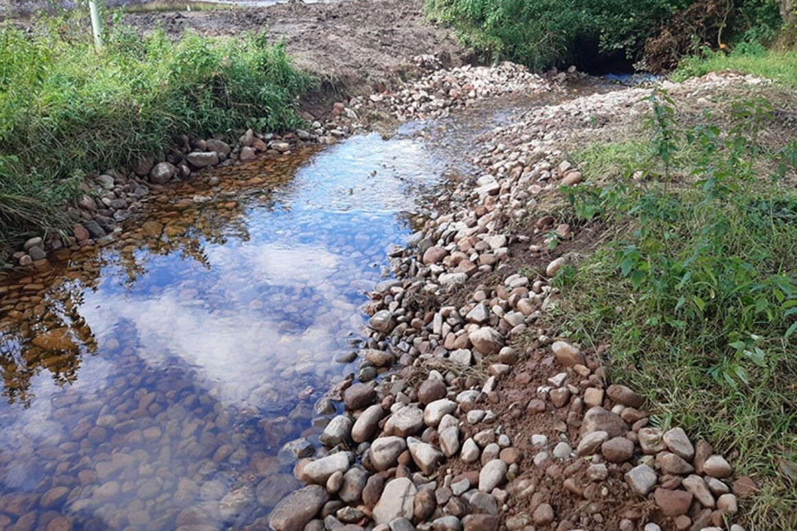 A view of a river channel with riffle feature.