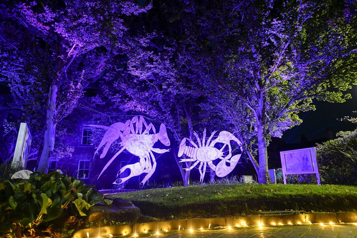 View across river, illuminated with floating candles. On the opposite bank, Two large black banners with large white images of crayfish are hung from trees and illuminated with purple spotlights.