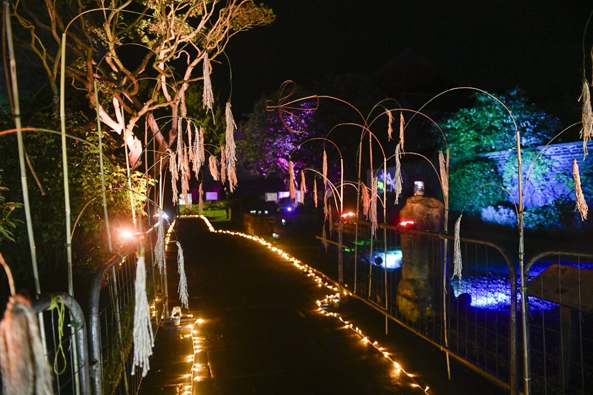 Looking down a pathway illuminated on each side with small orange lights with coloured spotlights illuminating trees on either side.