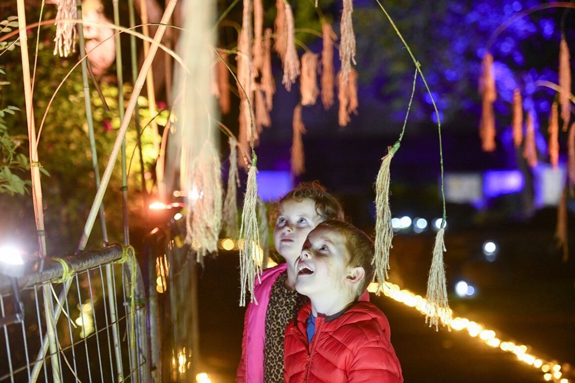 Night time image of two young people looking up at a lighting display of small orange lights suspended above with an illuminated path behind them.