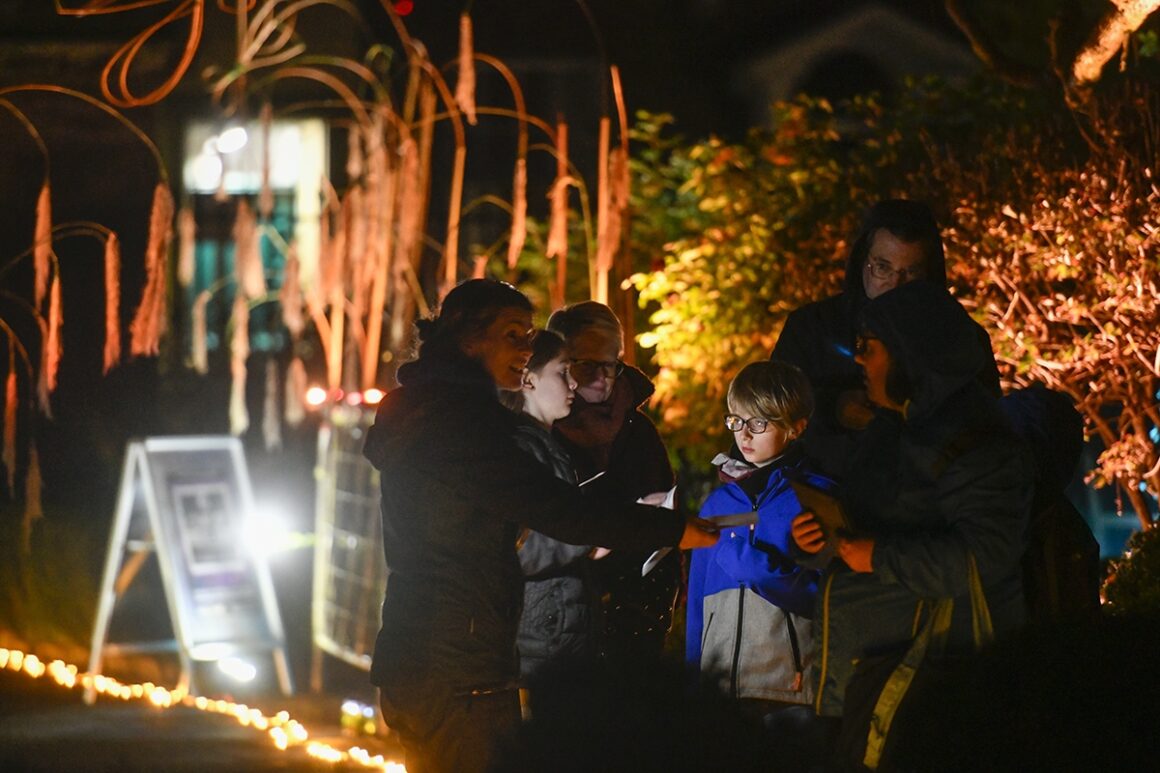 Night time image of a group of adults and young people illuminated by lighting in the trees behind them and along the edging of a path.