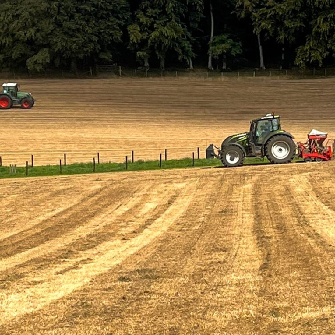 Tractors in yellow fields of cropped and cut hay.