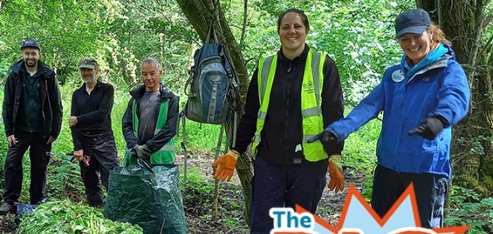 Image of volunteers standing behind a pile of uprooted balsam with a logo in the corner which reads: 