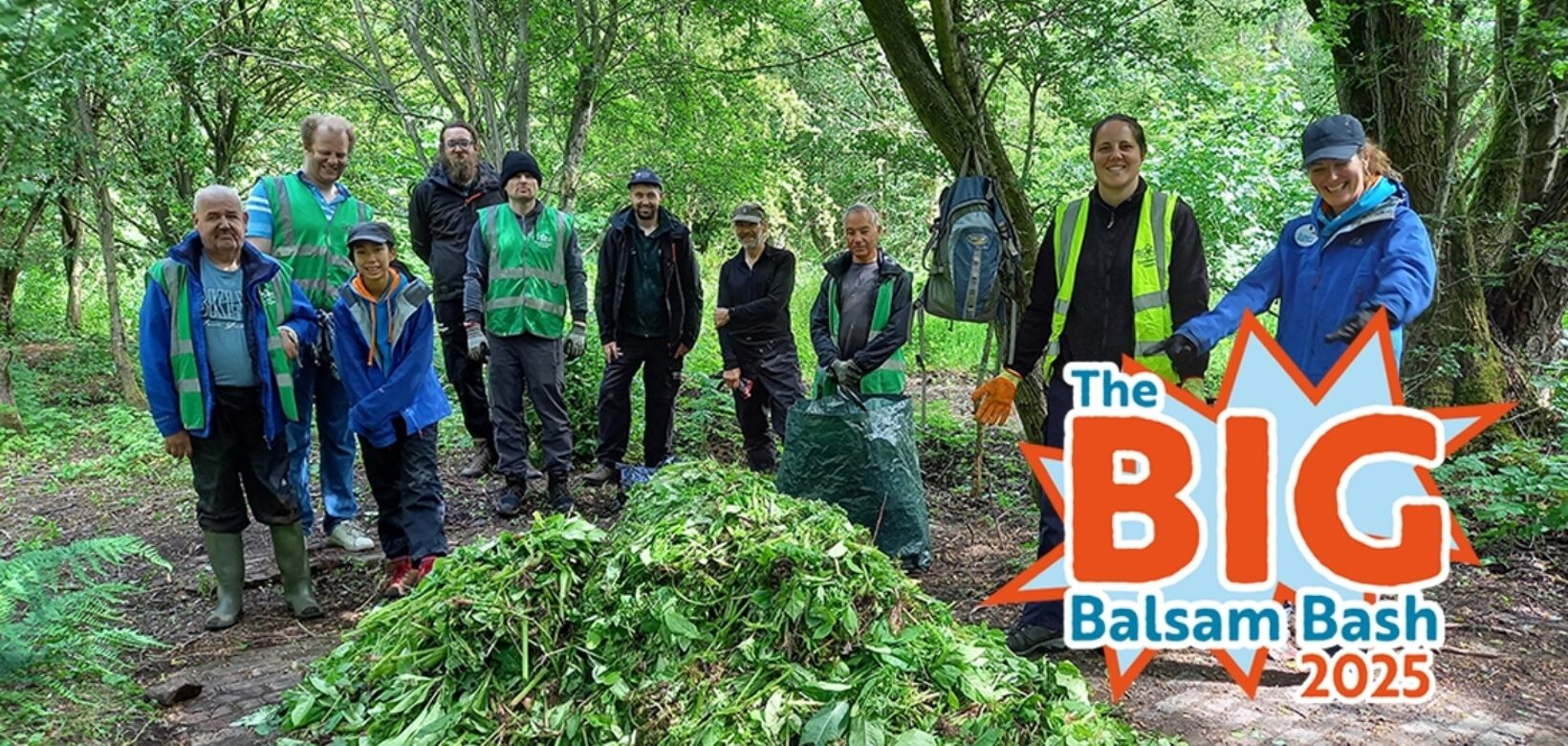 Image of volunteers standing behind a pile of uprooted balsam with a logo in the corner which reads: 