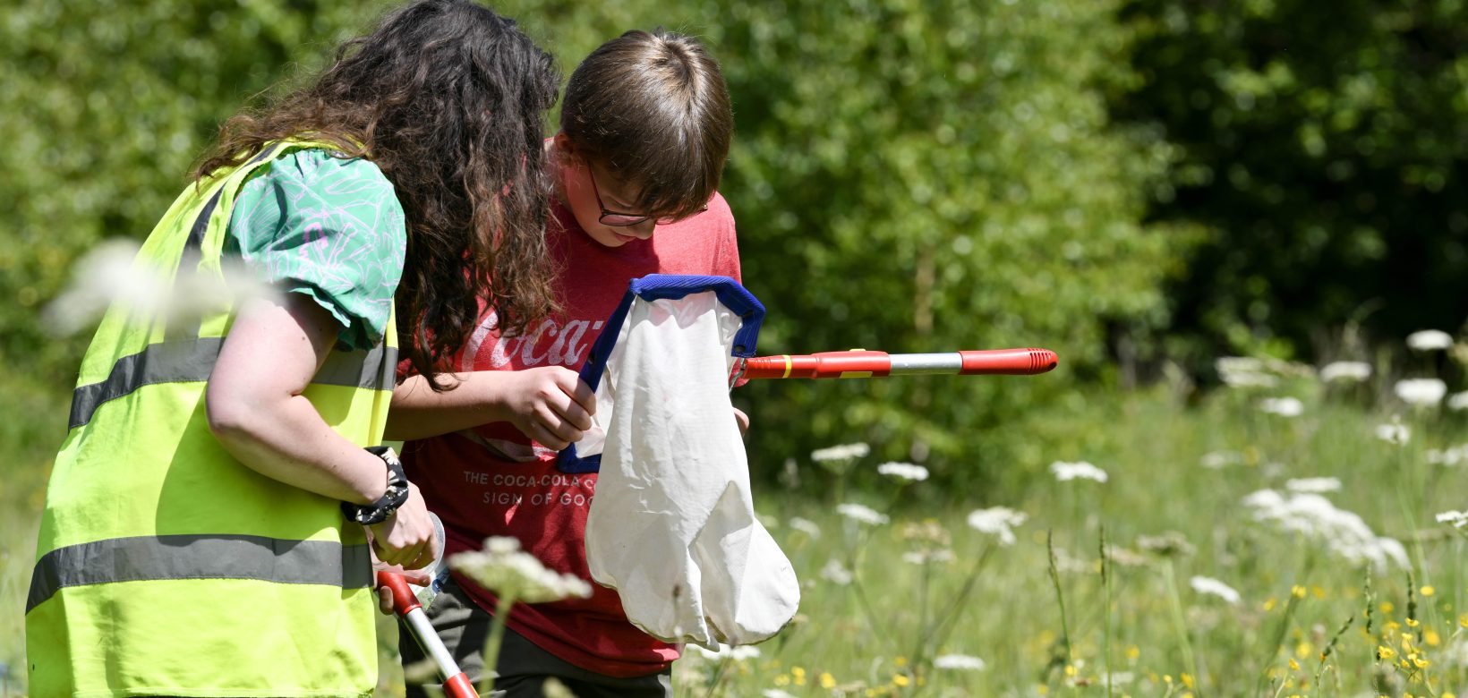 Two people in meadow examining the contents of nets used to capture meadow insects.