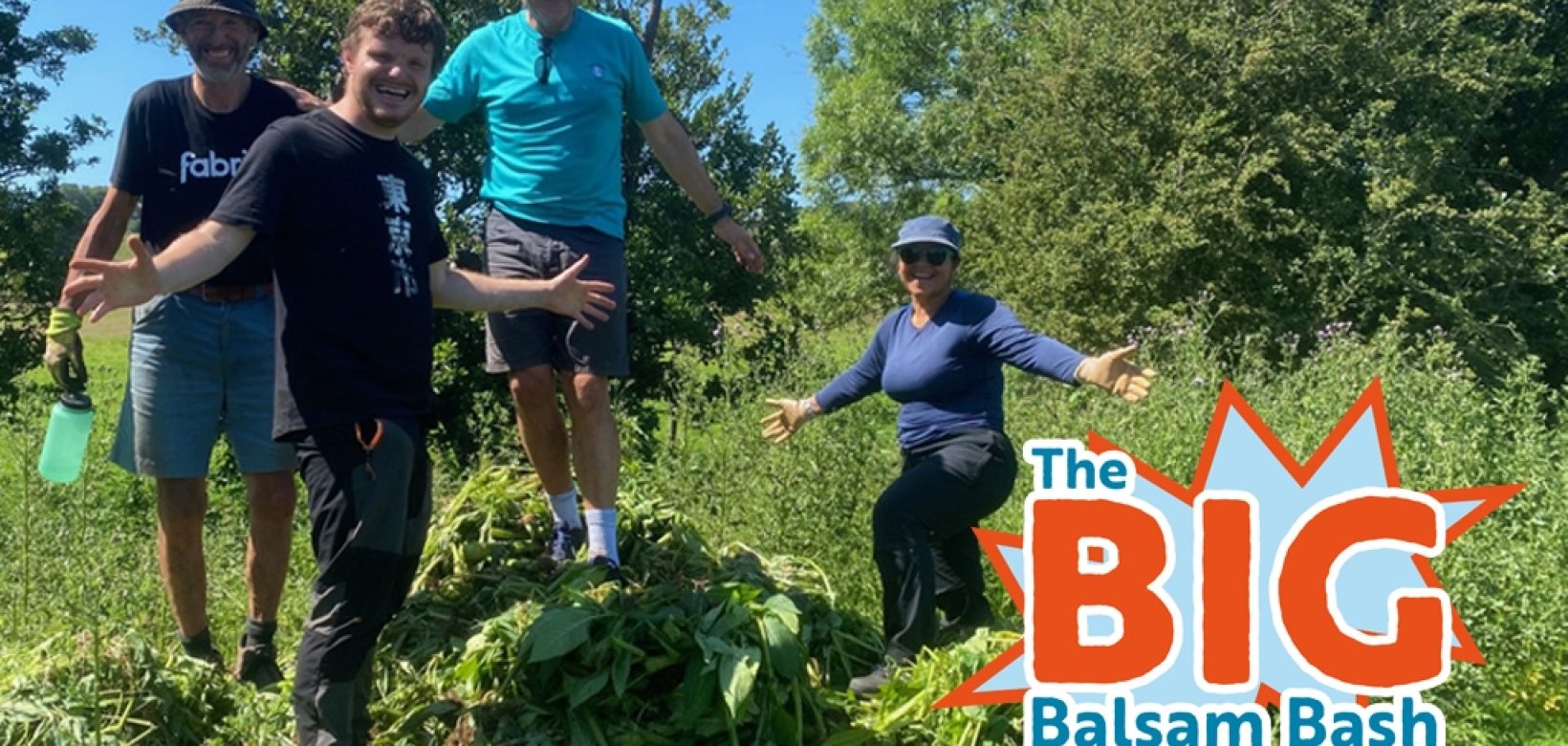 Image of volunteers standing on a pile of uprooted balsam with a logo in the corner which reads: 