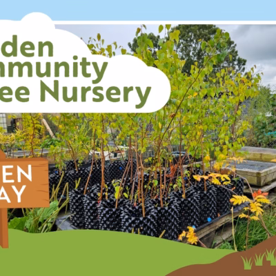 Tree Nursery open day graphic with photo of saplings growing in black plastic pots