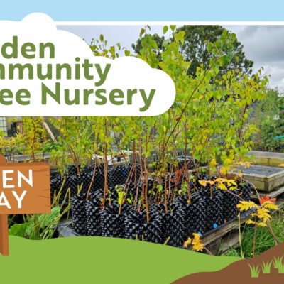 Tree Nursery open day graphic with photo of saplings growing in black plastic pots