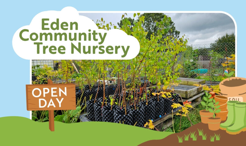 Tree Nursery open day graphic with photo of saplings growing in black plastic pots