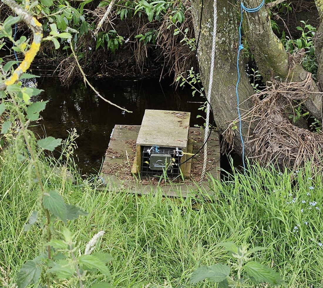 A wooden mink raft floating on the water next to river bank.