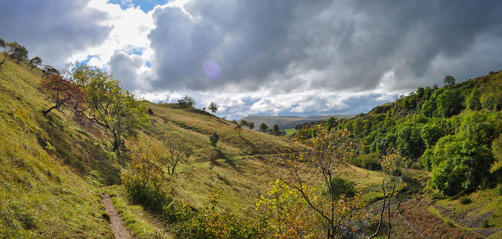 A steep valley with trees scattered along it. A river winds its way along the bottom of the valley