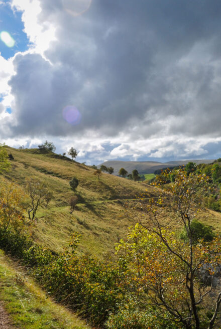 A steep valley with trees scattered along it. A river winds its way along the bottom of the valley