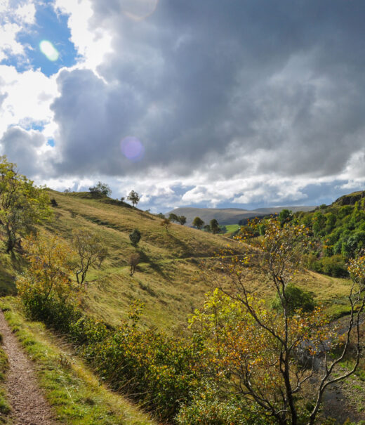A steep valley with trees scattered along it. A river winds its way along the bottom of the valley