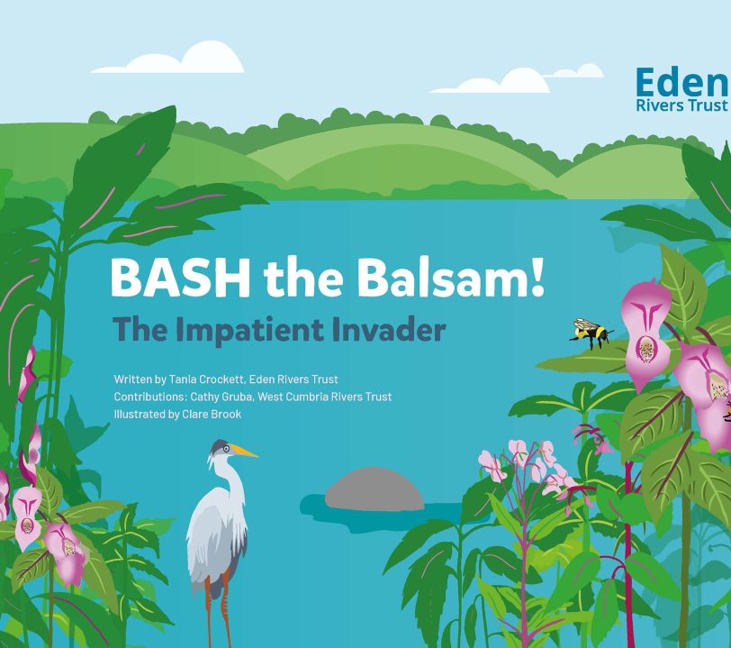 Graphic of the front cover of Bash the balsam book. The title reads: