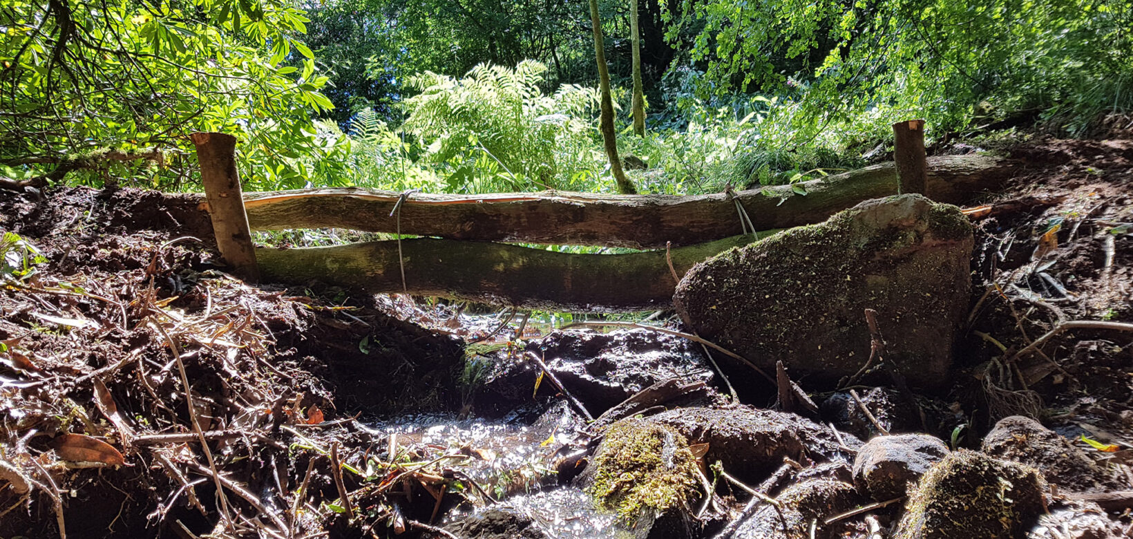 Two tree trunks have been placed across a small stream and secured in place by wooden uprights on either side. Water can flow beneath the tree trunks.