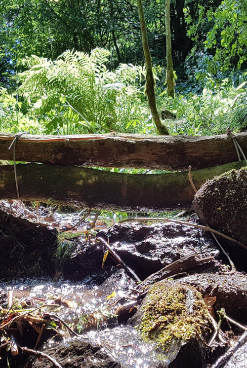 Two tree trunks have been placed across a small stream and secured in place by wooden uprights on either side. Water can flow beneath the tree trunks.