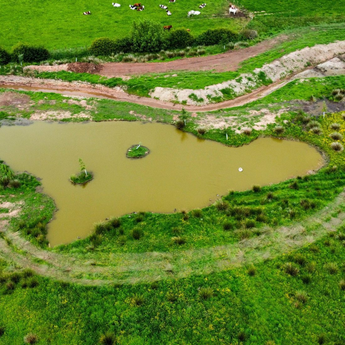 Aerial view of groundworks creating a new river channel and a large scrape.