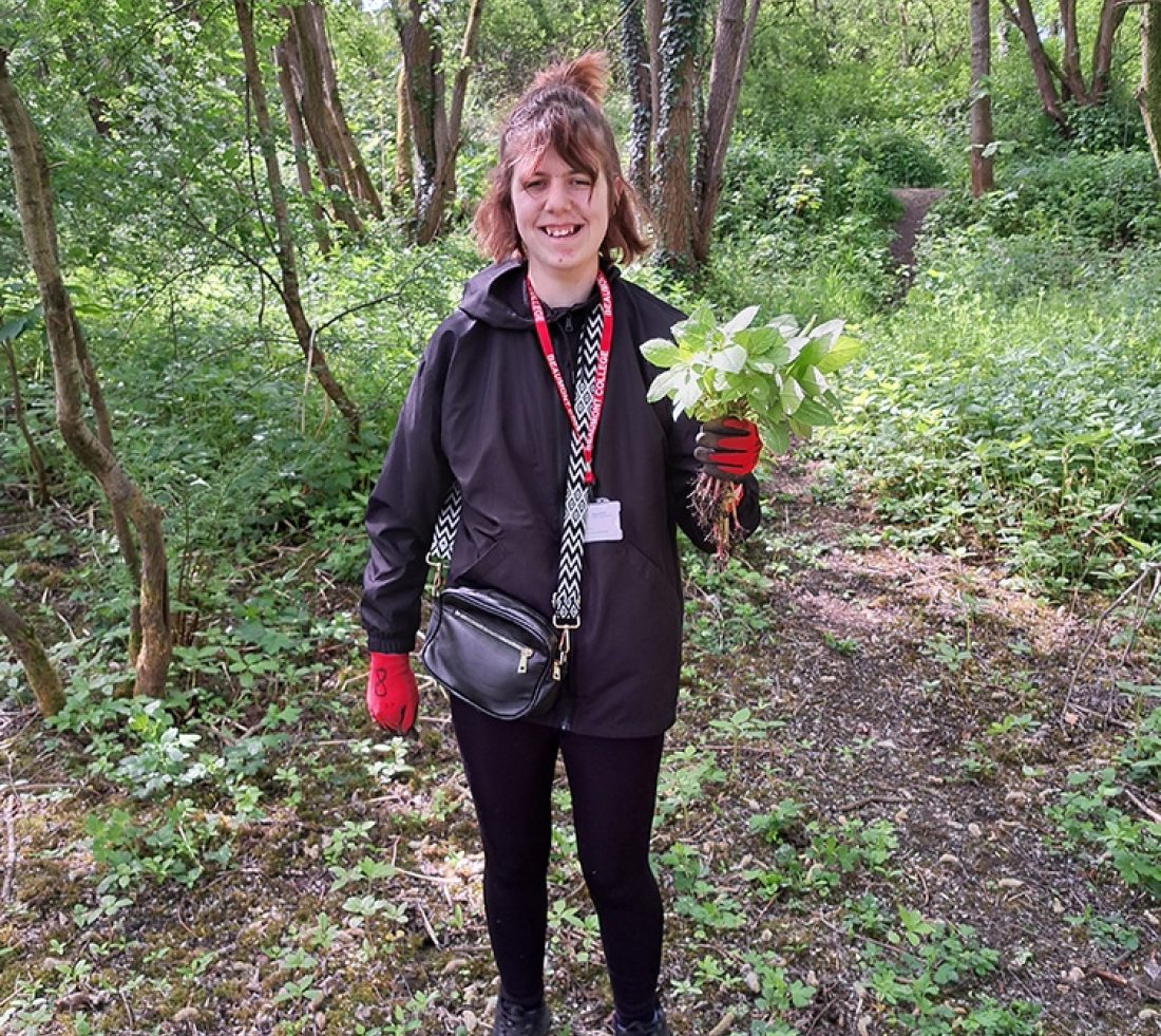A volunteer in woodland holding an uprooted Himalayan balsam plant.