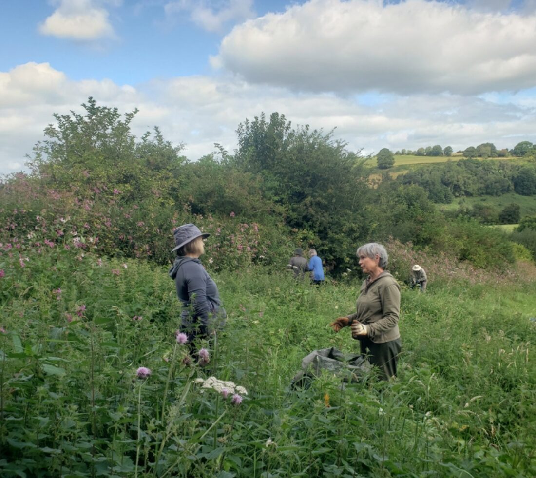 ERT staff, trustees and volunteers standing in dense undergrowth on a balsam bashing event at Wallacefield.